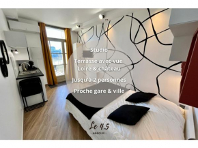 Studio climatisé face Loire et château le 4-5